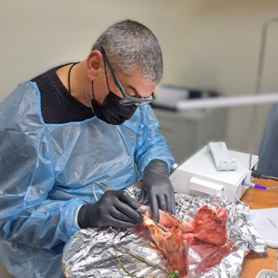 Практичний майстер-клас Кожаріна Олександра Михайловича на тему «Цікаві аспекти в роботі у бічному відділу нижньої щелепи. Альтернатива кістковій пластиці» .м.Одеса