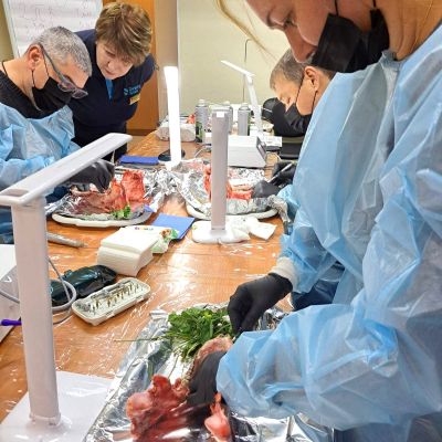 Практичний майстер-клас Кожаріна Олександра Михайловича на тему «Цікаві аспекти в роботі у бічному відділу нижньої щелепи. Альтернатива кістковій пластиці» .м.Одеса